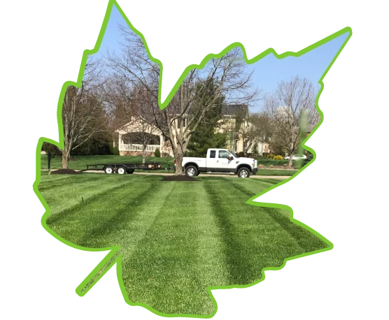Gonzalez Lawn Services LLC 