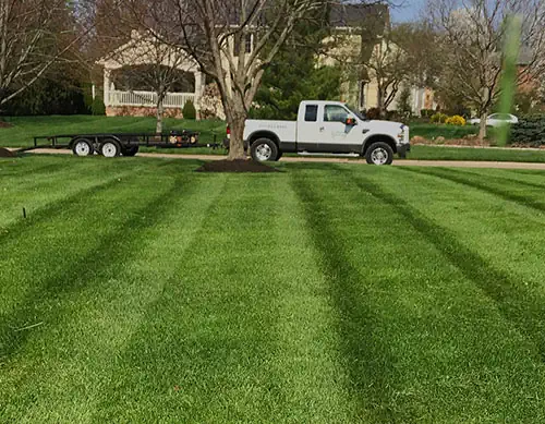 Your Lawn Can Look Great
