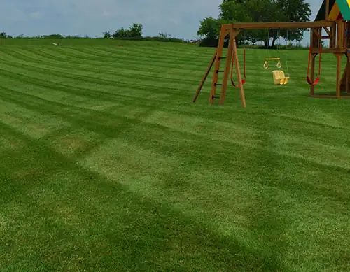 Our Job Is To Make Your Yard Beautiful