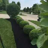 Our gallery