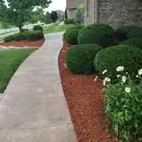 Our gallery